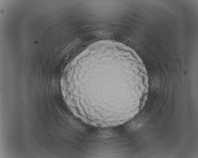 X0000067950666200605041827