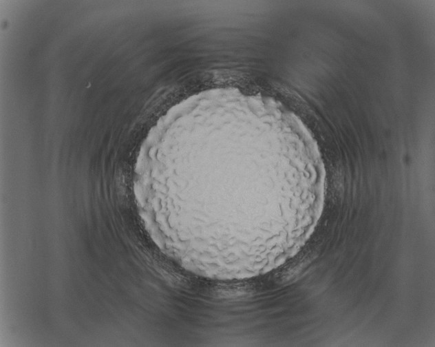 X0000067950667200605041827