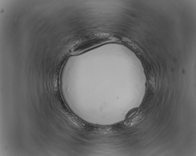 X0000067950668200605041827