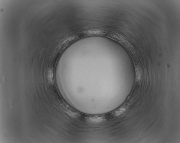 X0000067950669200605041827