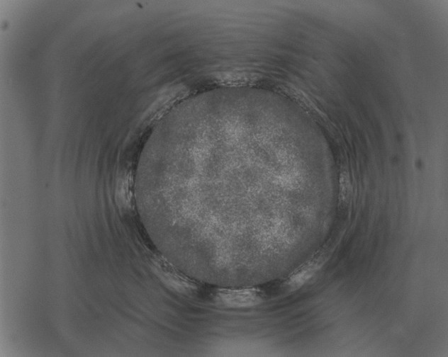 X0000067950671200605041827