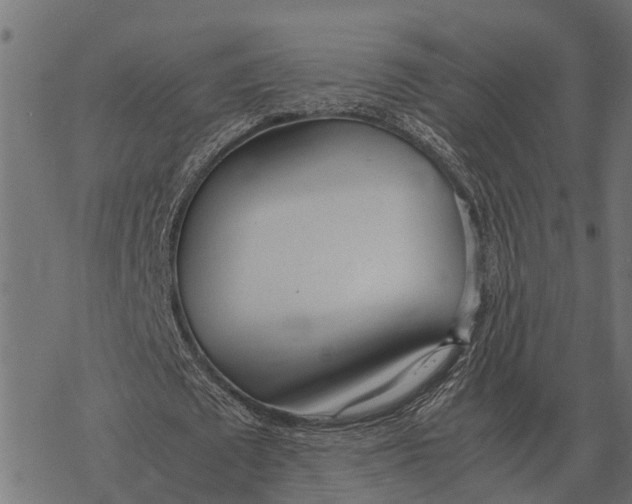 X0000067950673200605041826