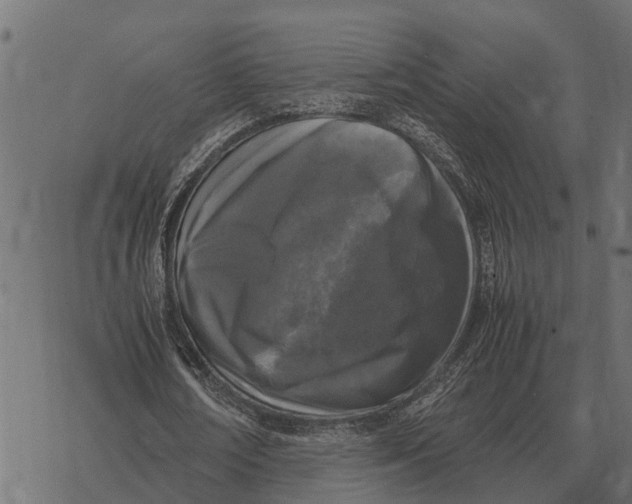 X0000067950674200605041826