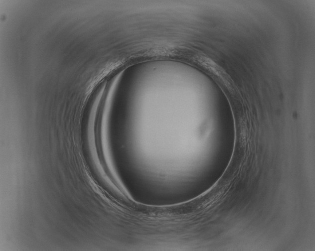 X0000067950677200605041826