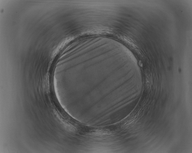 X0000067950678200605041826