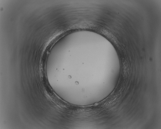 X0000067950680200605041826