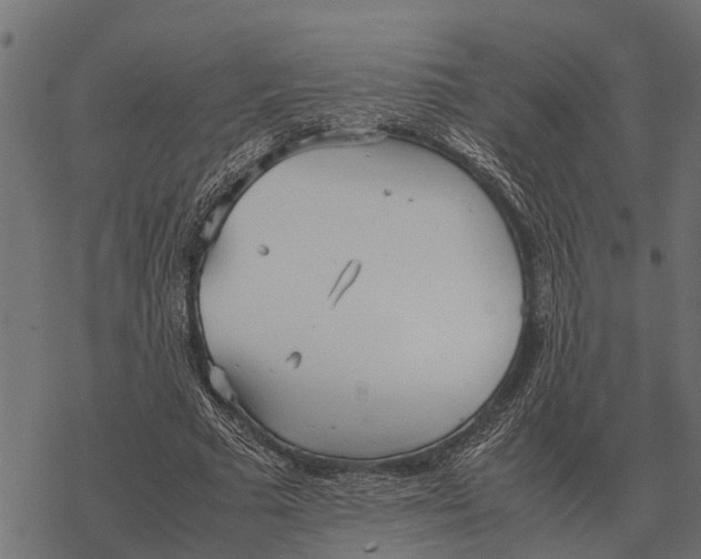 X0000067950681200605041826