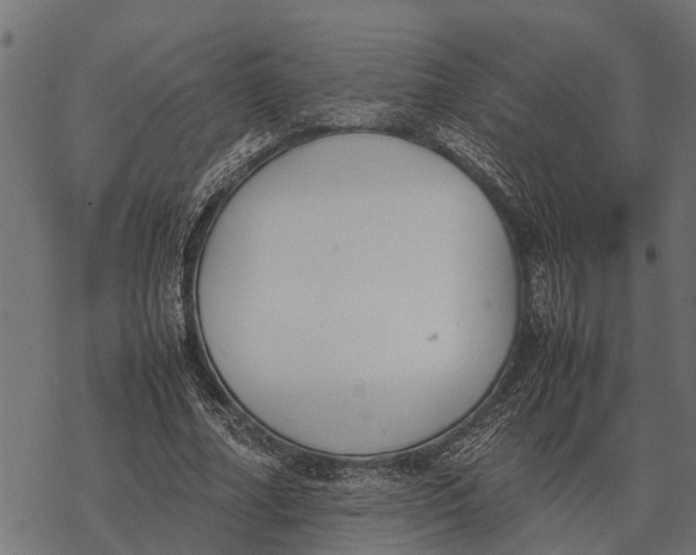 X0000067950682200605041826