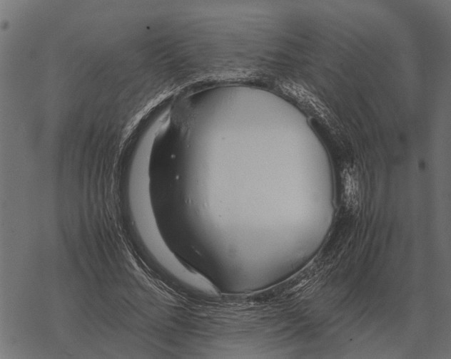 X0000067950684200605041826