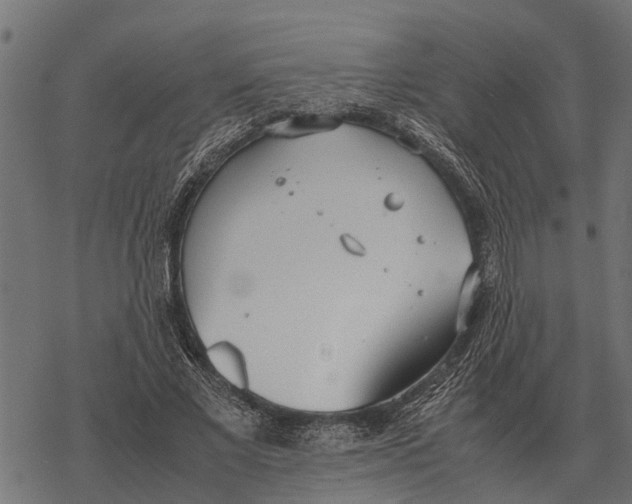 X0000067950685200605041826