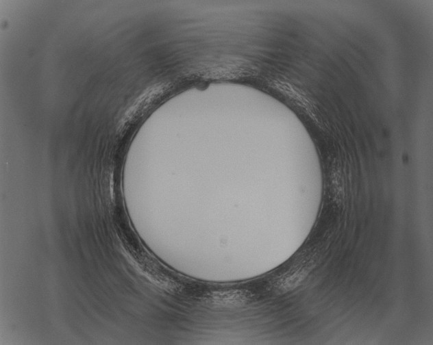 X0000067950686200605041826