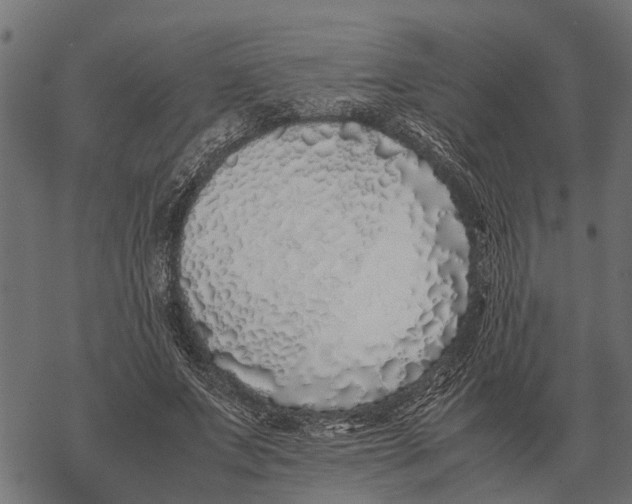 X0000067950687200605041826