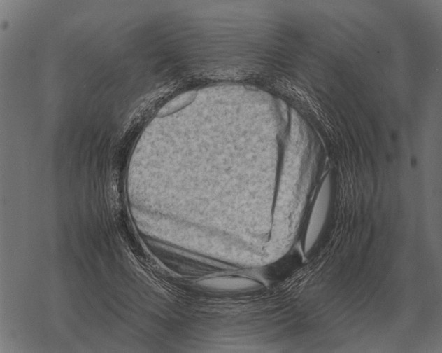 X0000067950688200605041826