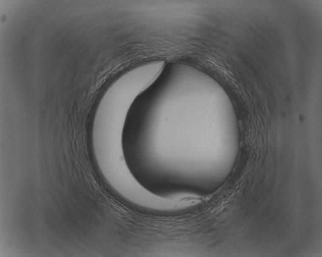 X0000067950689200605041826