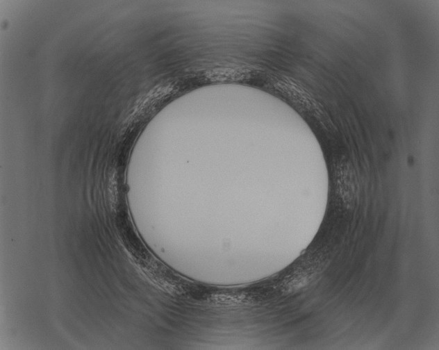 X0000067950690200605041826