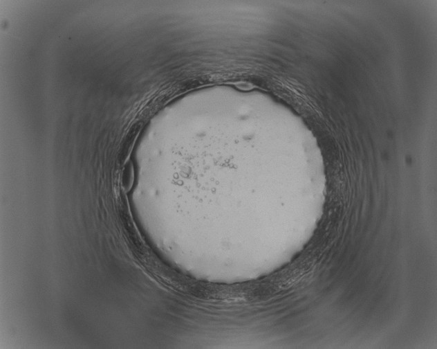 X0000067950691200605041826