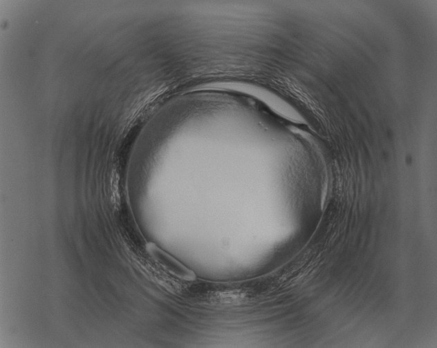 X0000067950692200605041826