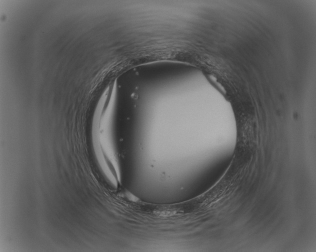 X0000067950693200605041826