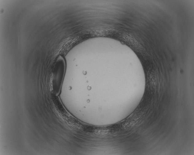 X0000067950694200605041826