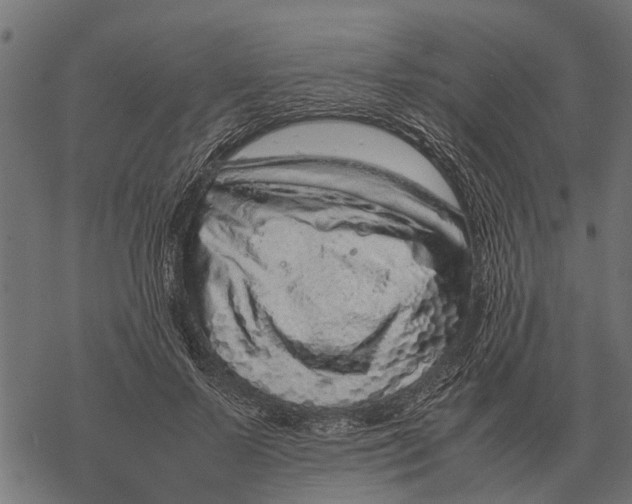 X0000067950695200605041826