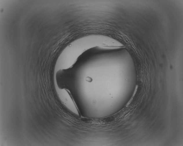 X0000067950697200605041826