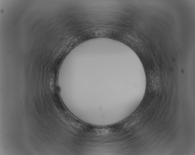 X0000067950698200605041826