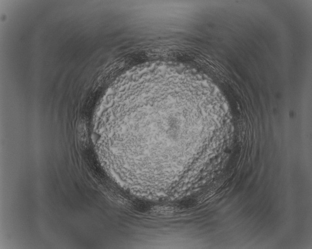 X0000067950699200605041826