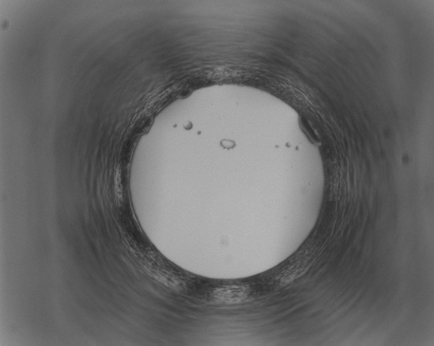 X0000067950700200605041826