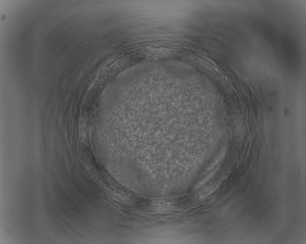 X0000067950701200605041826