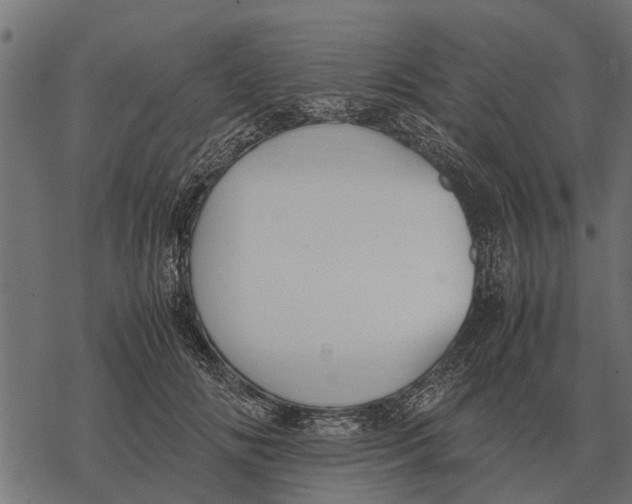 X0000067950702200605041826