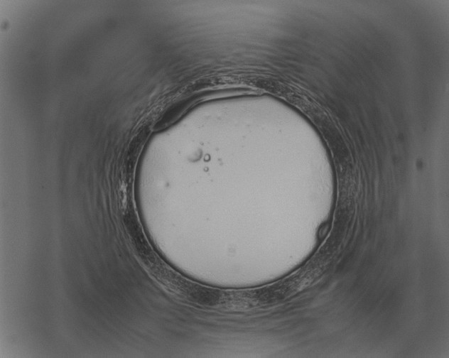 X0000067950703200605041826