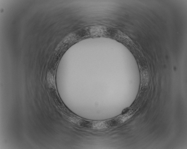 X0000067950705200605041826