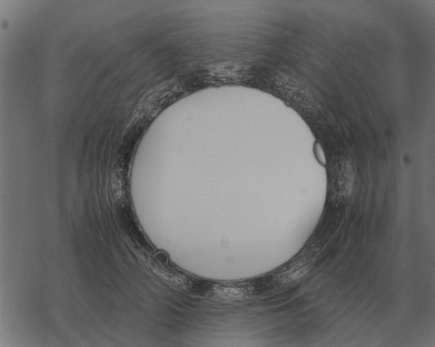 X0000067950706200605041826