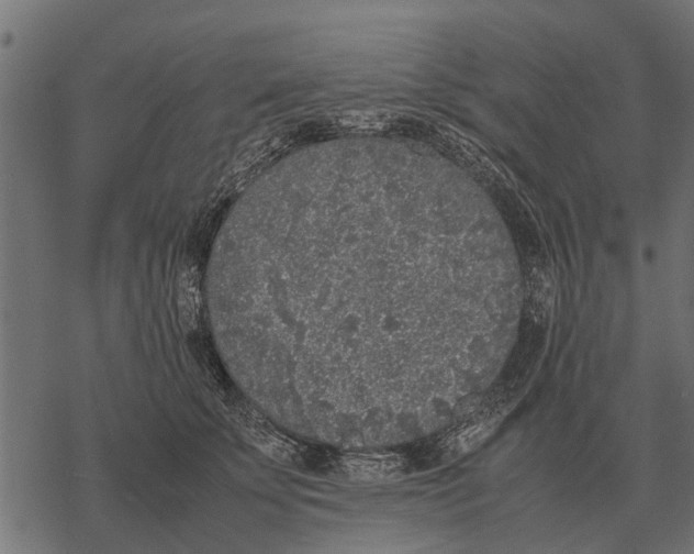 X0000067950707200605041826