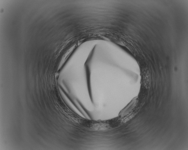 X0000067950708200605041826