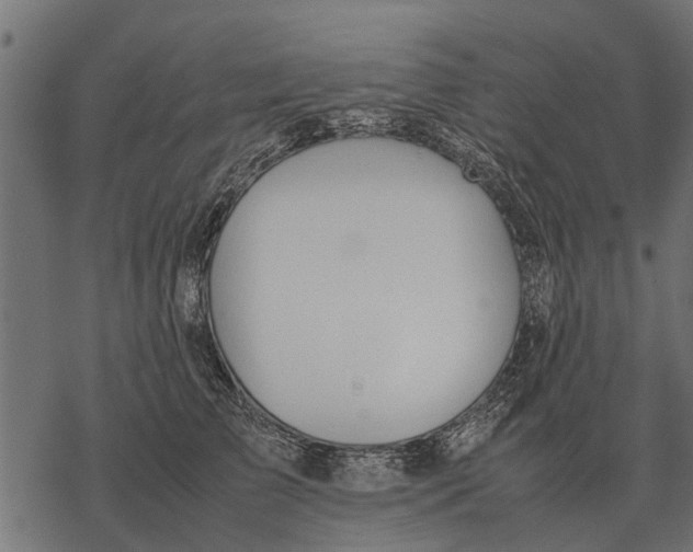 X0000067950709200605041826