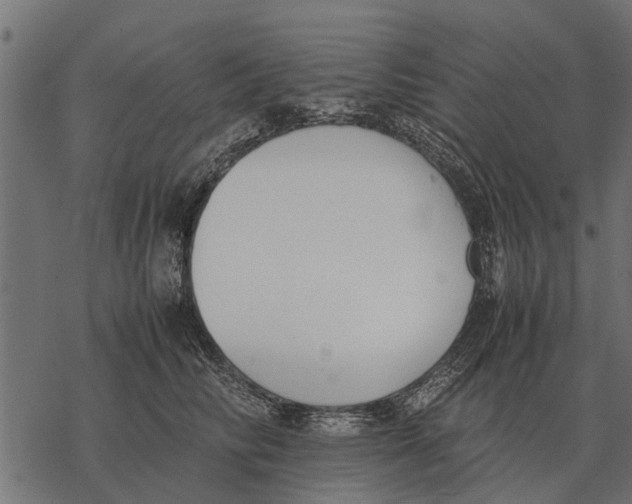 X0000067950710200605041826