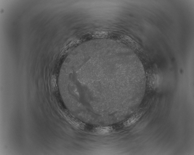 X0000067950711200605041826