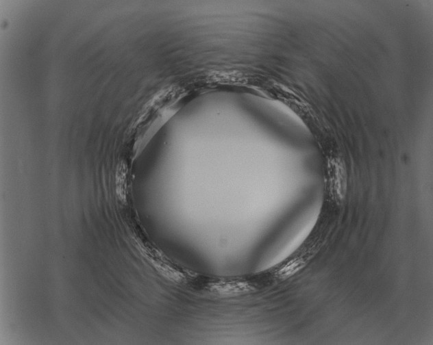 X0000067950712200605041826