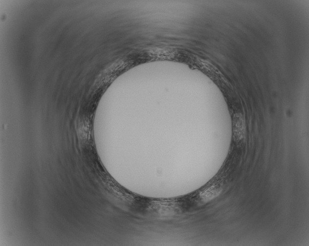 X0000067950713200605041826