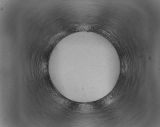 X0000067950714200605041826