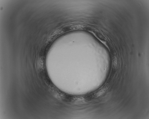 X0000067950715200605041826