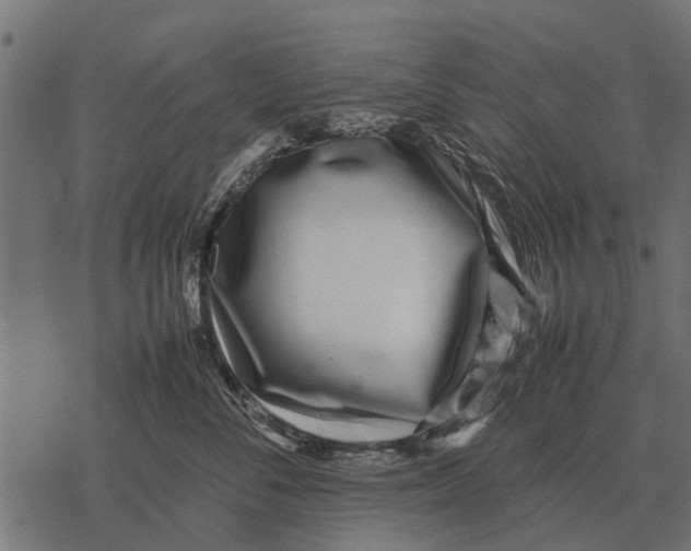 X0000067950716200605041826