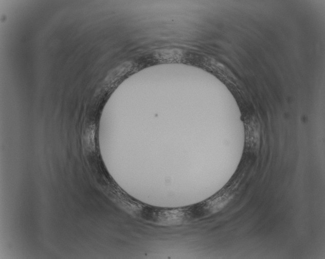 X0000067950717200605041826