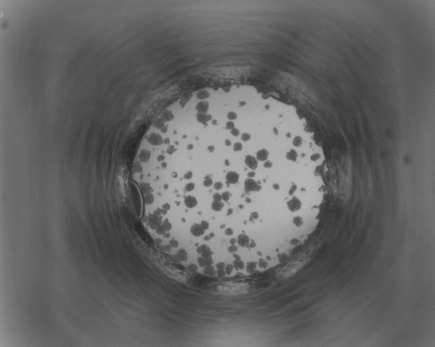 X0000067950718200605041826