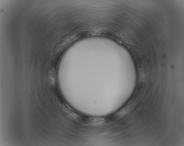 X0000067950719200605041826