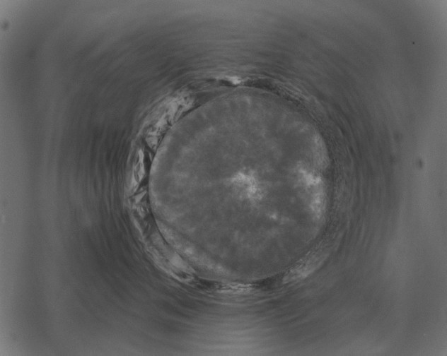 X0000067950720200605041826