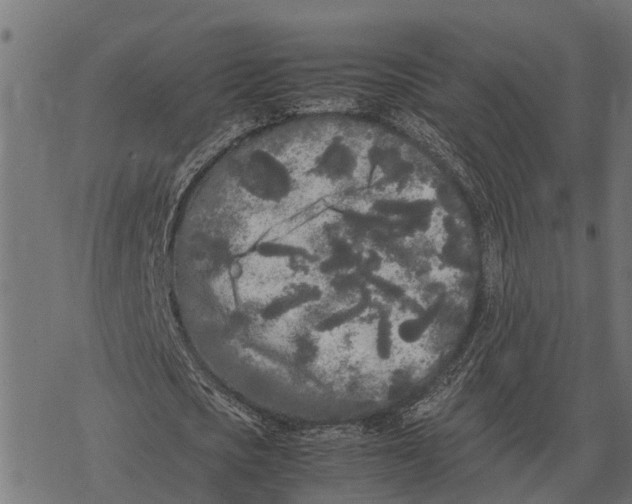 X0000067950721200605041825