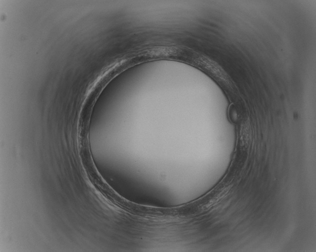 X0000067950722200605041825