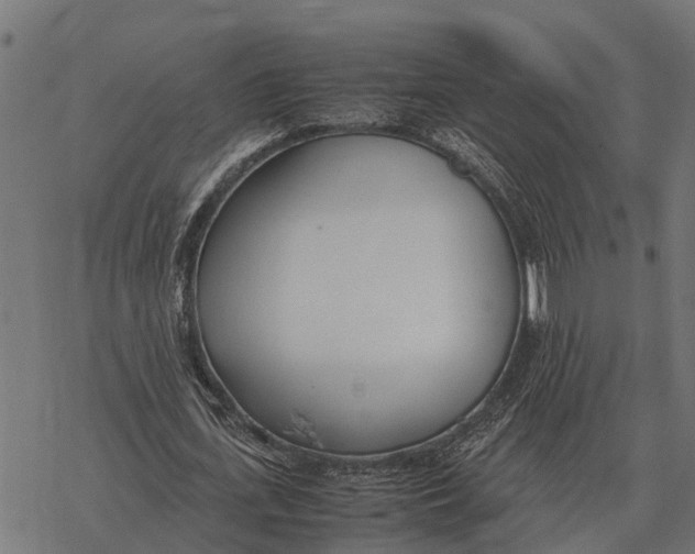 X0000067950723200605041825